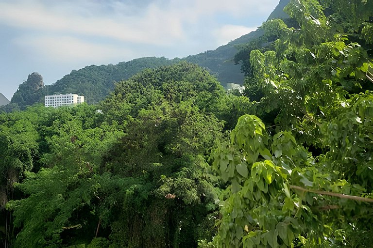 Vista para Mata | Prox. da Praia e Metro